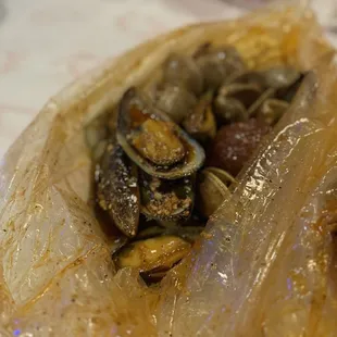Mussels and Clams