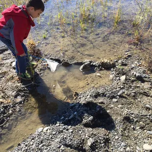 Trapped a few baby fish