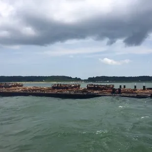 Kiptopeke Concrete Ships