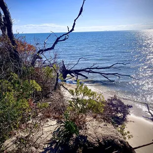 Board walk that leads to the bay view