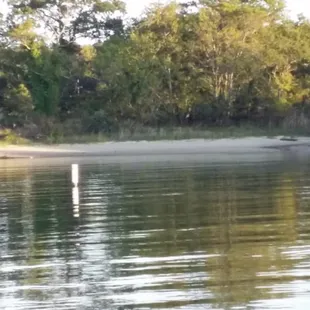 across from the marina