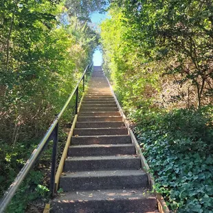Stairs to the lights house