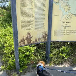 The 3-panel explainers of site significance