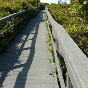 Boardwalk