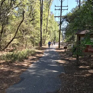 First Landing State Park trail entrance. End of Cape Henry.