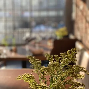 a vase of flowers on a table