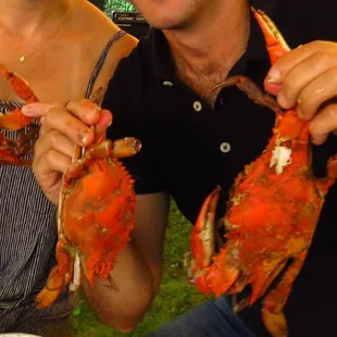 sushi, sashimi, sushi and sashimi, food