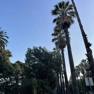 Take a walk before the play