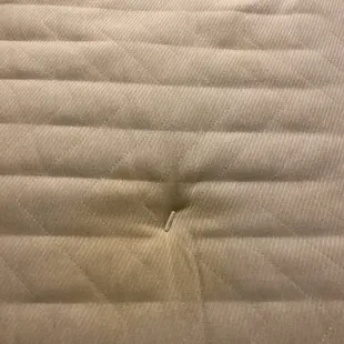 Urine and period stains.