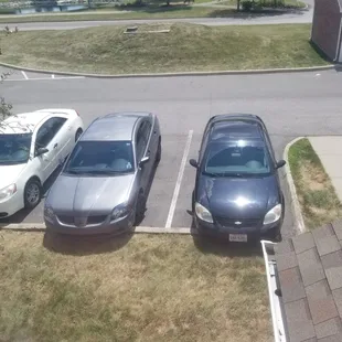 the nice brown dying grass they take care of...