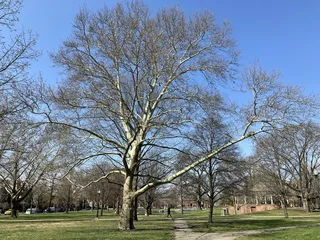 Schiller Community Center