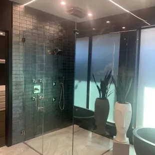 Lighted frameless glass enclosure