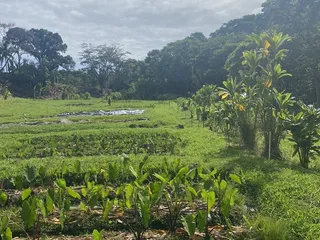 Papahana Kuaola