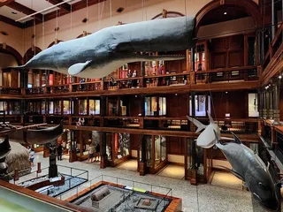 Bishop Museum
