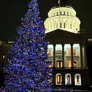 December 2024