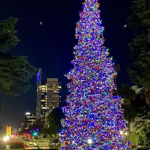 December 2023--All lit up