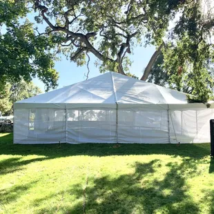 40X40 tent with mesh sidewall !