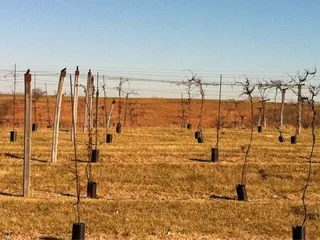 Prime Country Winery