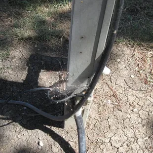 Spider webs taking over campsite.
