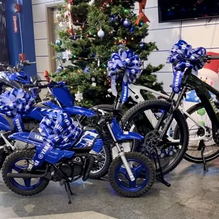 Bring home happiness and fun this holiday season!