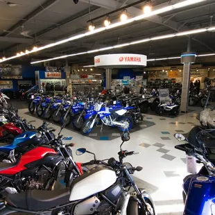 Capitol Yamaha Sacramento Showroom