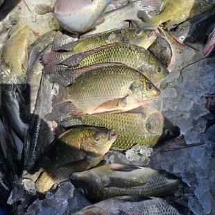 Locally sourced fish to ensure freshness and great taste!