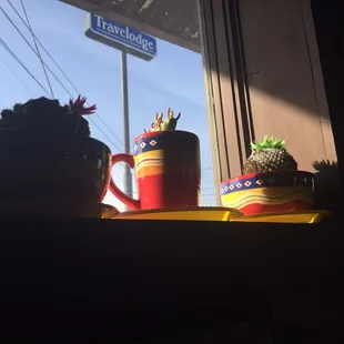 Cactus! Who doesn't like cactus!