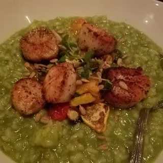 Seared Scallops