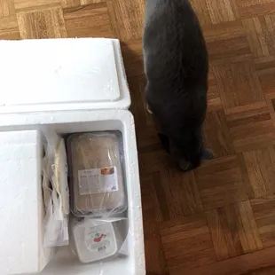 Carefully packed.  Cat sold separately.