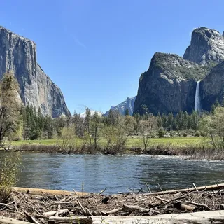 A L.