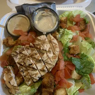 Chicken ceased salad + tomatoes