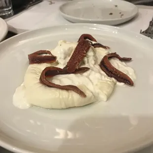 Burrata