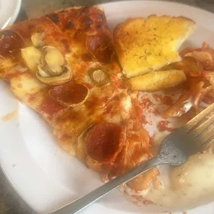 Pizza is burnt with canned mushrooms and a cardboard crust, some kind of. pasta which I couldn't even finish because of it being cold