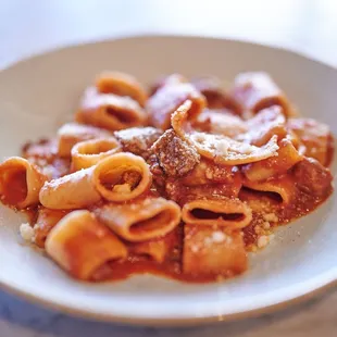 Mezzi Paccheri al Ragu Napoletano