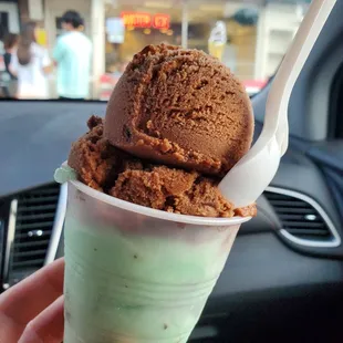 a hand holding a cup of ice cream