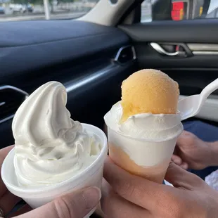 Kids Vanilla soft serve &amp; Regular mango/vanilla gelati