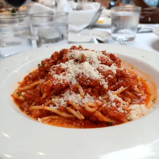 Bolognese