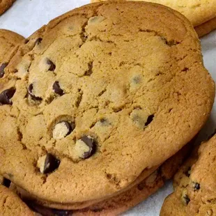 Chocolate Chip Cookie
