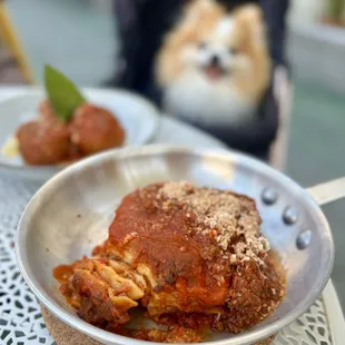Polpette Al Sugo ($13) + Bolognese Lasagna ($19)