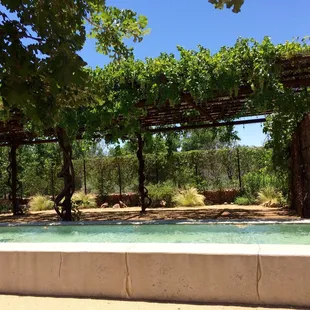 Outdoor garden