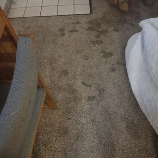 Carpet inside front door