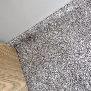Food stuck to carpet