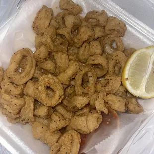 Fried Calamari