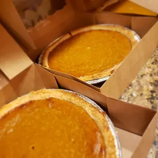 Pumpkin Pies