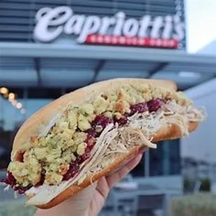 a hand holding a sandwich