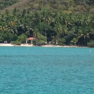 Tortola C.