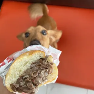 Capriotti's Sandwich Shop