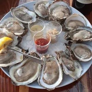 Raw Oysters