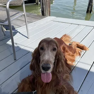 Nelson enjoyed lunch too.