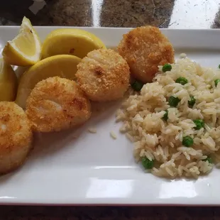 Diver Sea Scallops